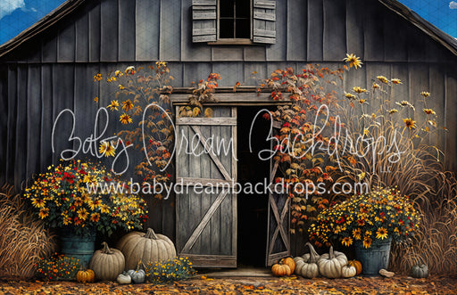 Rustic Autumn Barn (MD)