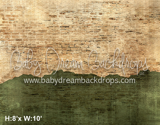 Rustic Brick and Cement Wall Green (VR) 