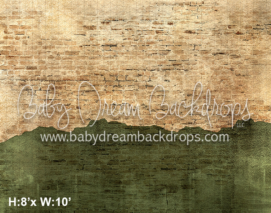 Rustic Brick and Cement Wall Green (VR) 