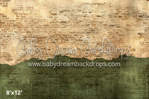 Rustic Brick and Cement Wall Green (VR) 