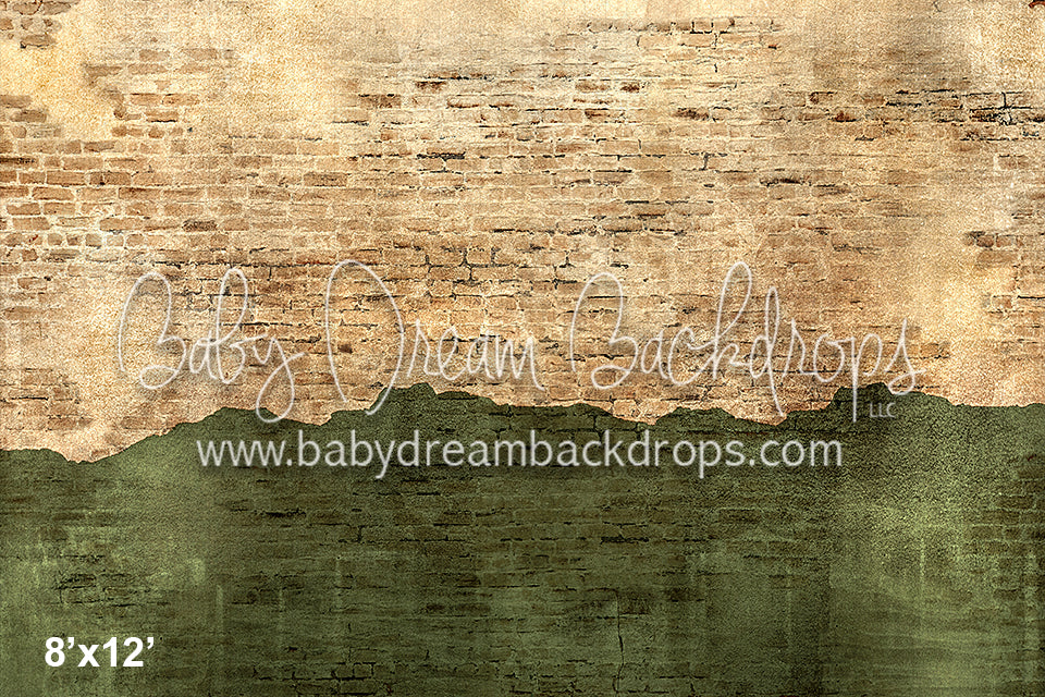 Rustic Brick and Cement Wall Green (VR) 