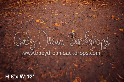 Rustic Autumn Arch Fabric Floor (SM)