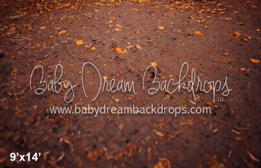 Rustic Autumn Arch Fabric Floor (SM)