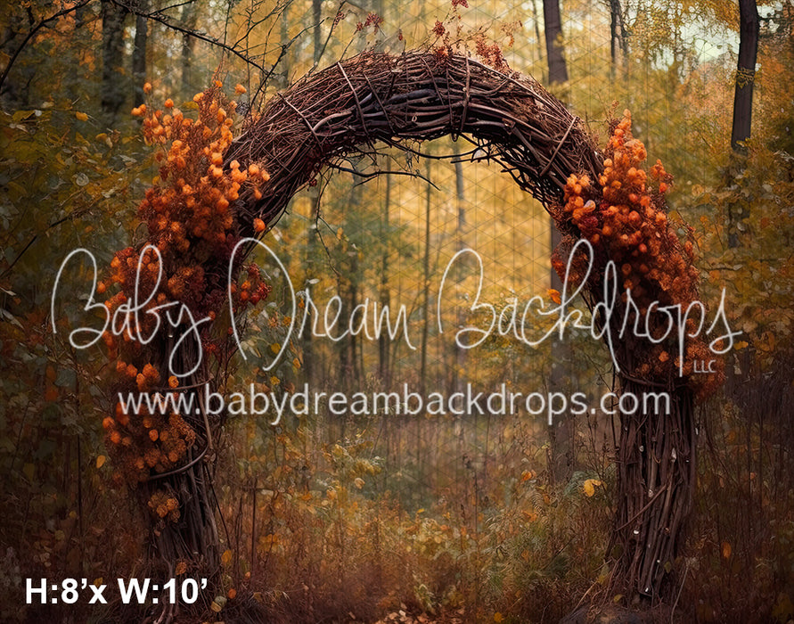 Rustic Autumn Arch (SM)