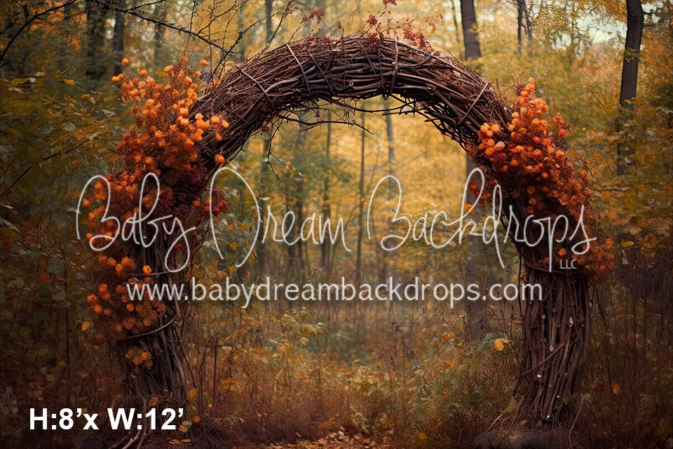 Rustic Autumn Arch (SM)