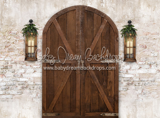 Rustic Doorway