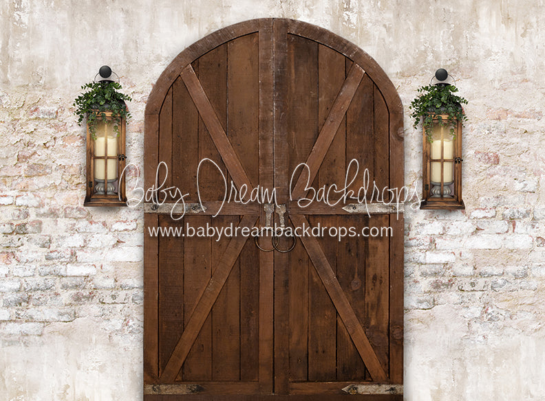 Rustic Doorway