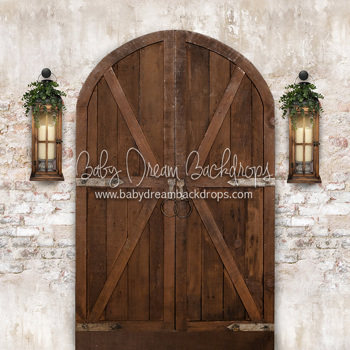 Rustic Doorway