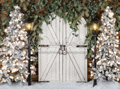 Rustic Frost Entry