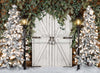 Rustic Frost Entry