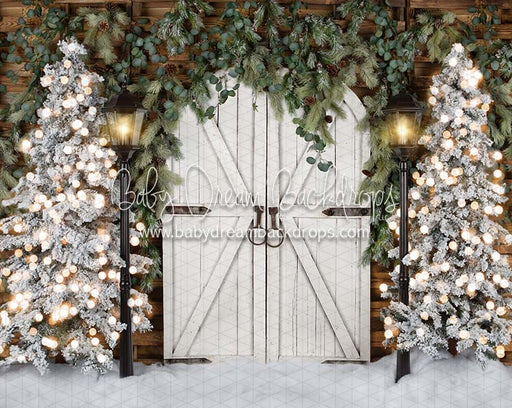 Rustic Frost Entry