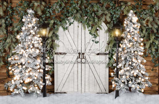 Rustic Frost Entry
