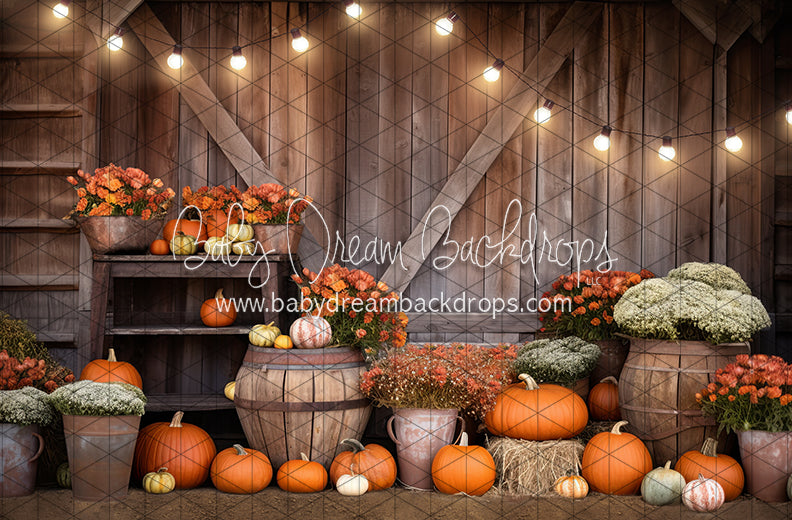 Rustic Pumpkin Barn (JA)