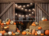 Rustic Pumpkin Barn Door (JA)