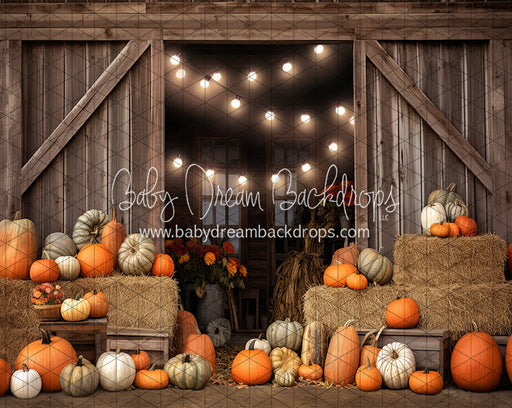 Rustic Pumpkin Barn Door (JA)