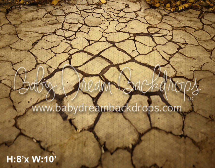 Rustic Spooky Door Fabric Floor (SM)