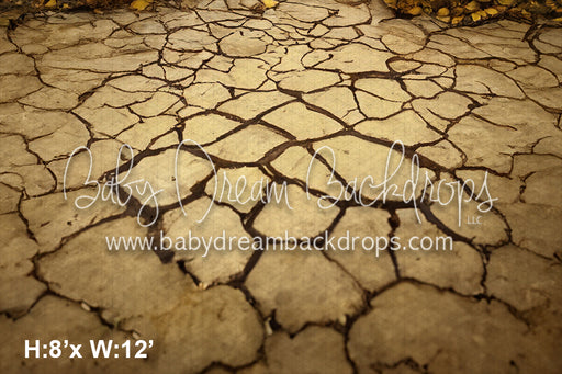 Rustic Spooky Door Fabric Floor (SM)