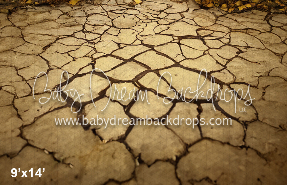 Rustic Spooky Door Fabric Floor (SM)