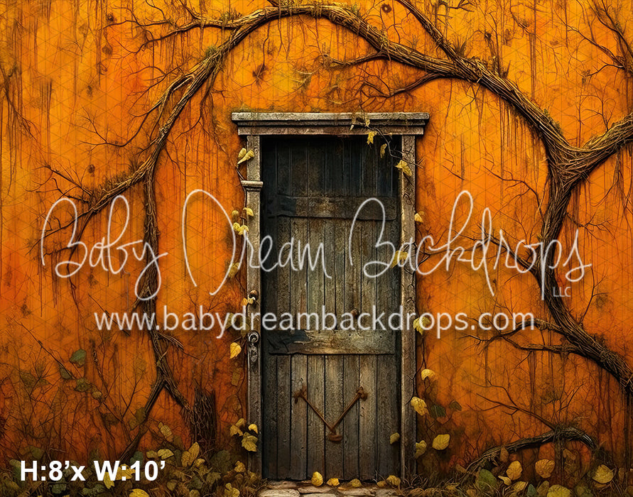 Rustic Spooky Door (SM)