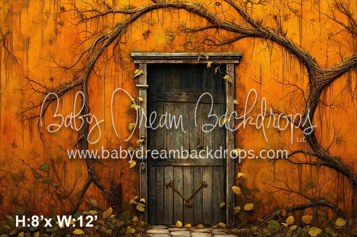 Rustic Spooky Door (SM)