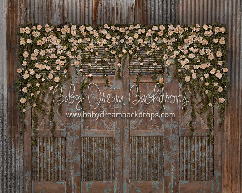 Rustic Dance Doors