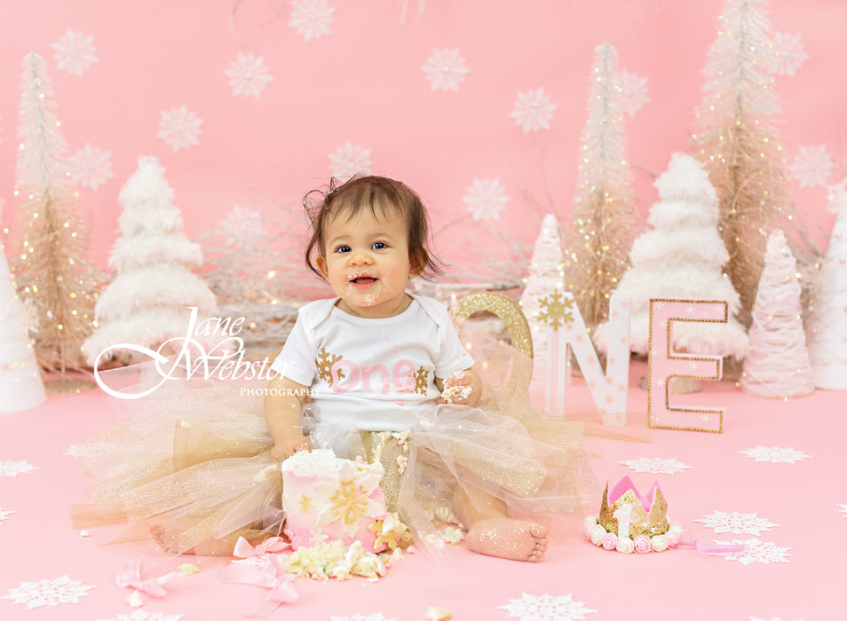 Dreamy Winter Wonderland