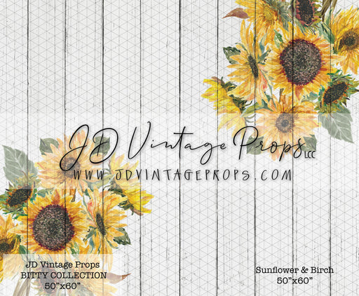 Sun Flower and Birch