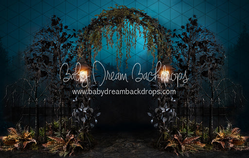 Salem Forest Arch (JA)