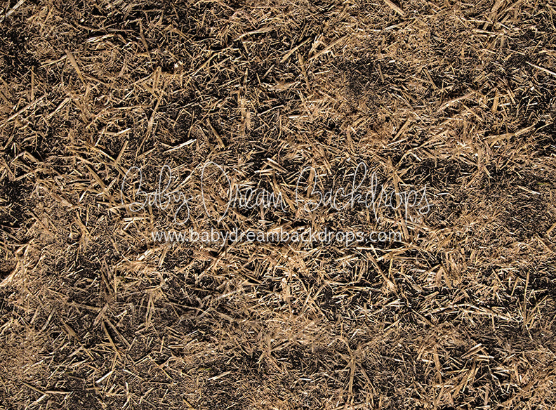 Scattered Straw (JA)