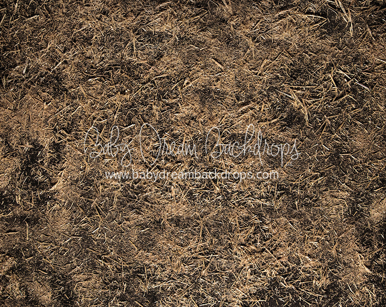 Scattered Straw (JA)