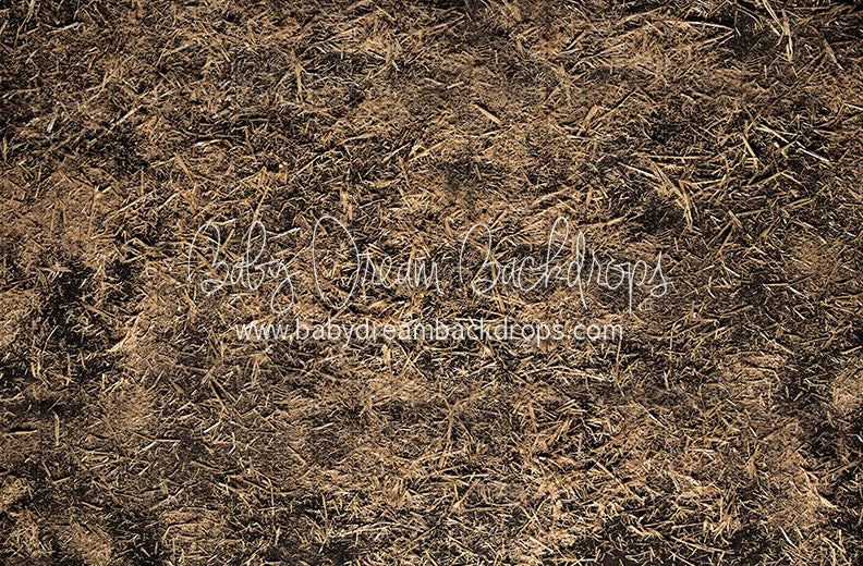 Scattered Straw (JA)