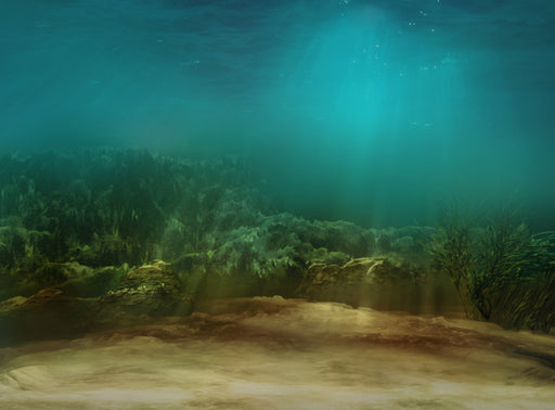 Sea Worthy - 8x10 - CC