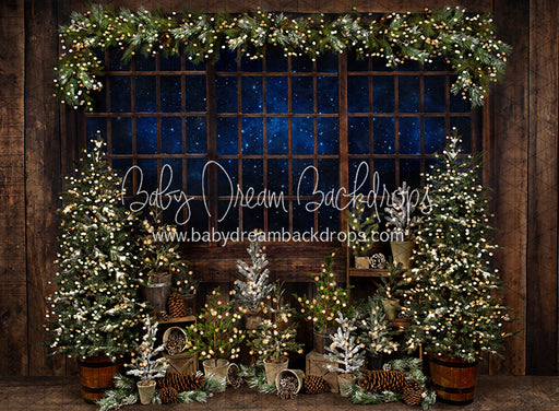 Season Pines Shed (JA)