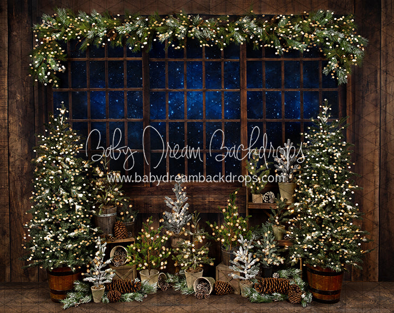 Season Pines Shed (JA)