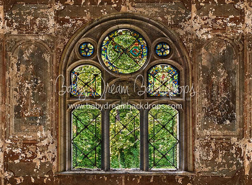 Secret Conservatory Window (CC)