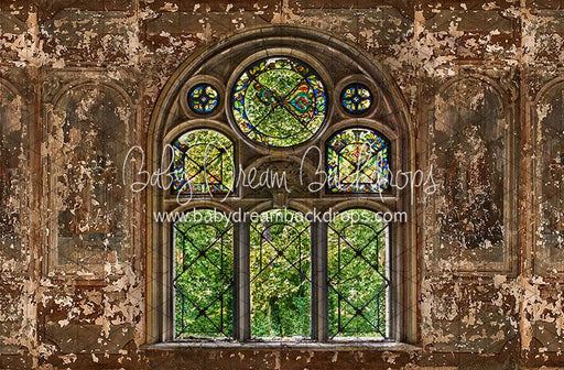 Secret Conservatory Window (CC)