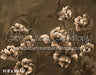 Sepia Florals (BD)