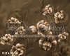 Sepia Florals (BD)