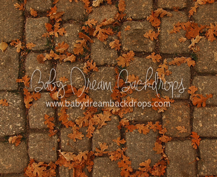 September Stones (CC)