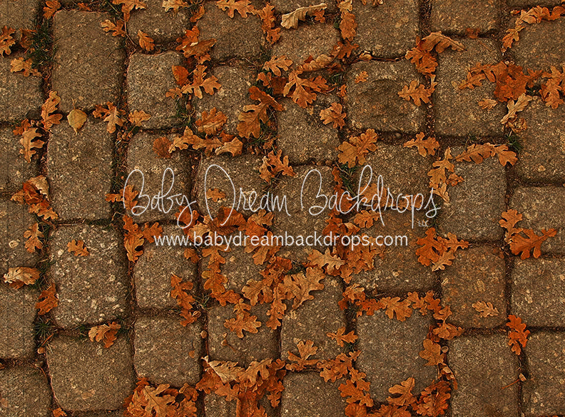 September Stones (CC)