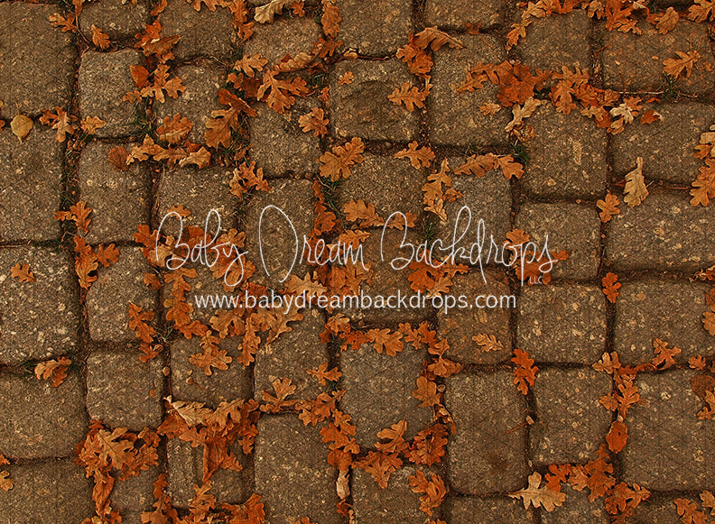 September Stones (CC)