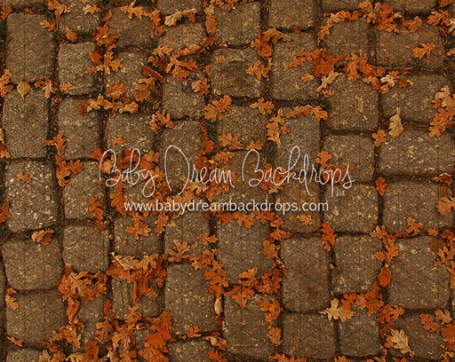 September Stones (CC)