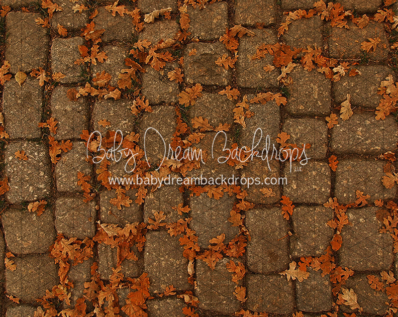 September Stones (CC)