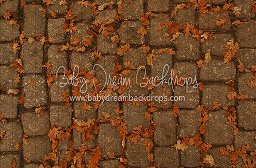 September Stones (CC)