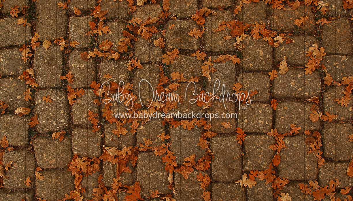 September Stones (CC)