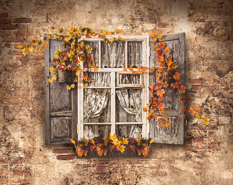 September Window — Baby Dream Backdrops