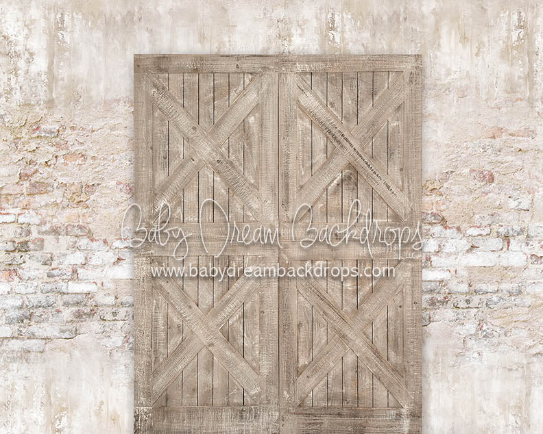 Shabby Barn Doors - 8x10 - JA (Premium)