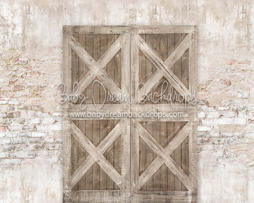 Shabby Barn Two Toned - 8x10 - JA (Premium)