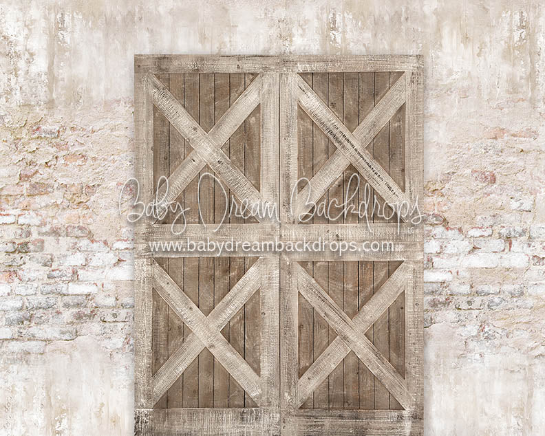 Shabby Barn Two Toned - 8x10 - JA (Premium)
