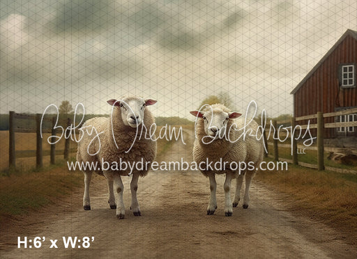 Sheep on the Farm (AZ)